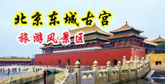 人妻被插逼中国北京-东城古宫旅游风景区
